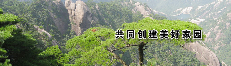 大圖一