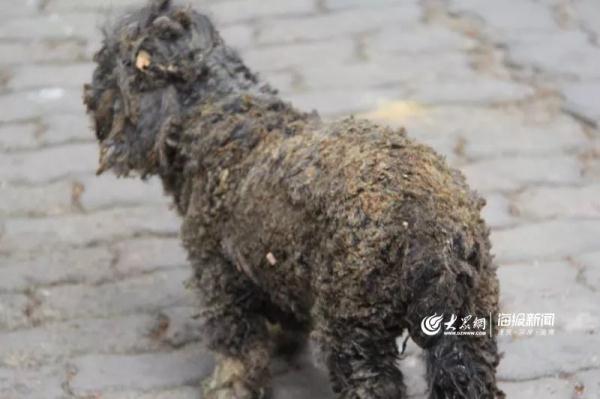 突發(fā)！青島一居民樓發(fā)生爆燃！已造1人死亡，7人受傷！3公里外有震感…