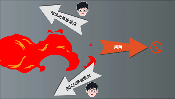 【動畫】森林草原防火“十不準(zhǔn)”“五不燒”！這些安全知識要牢記